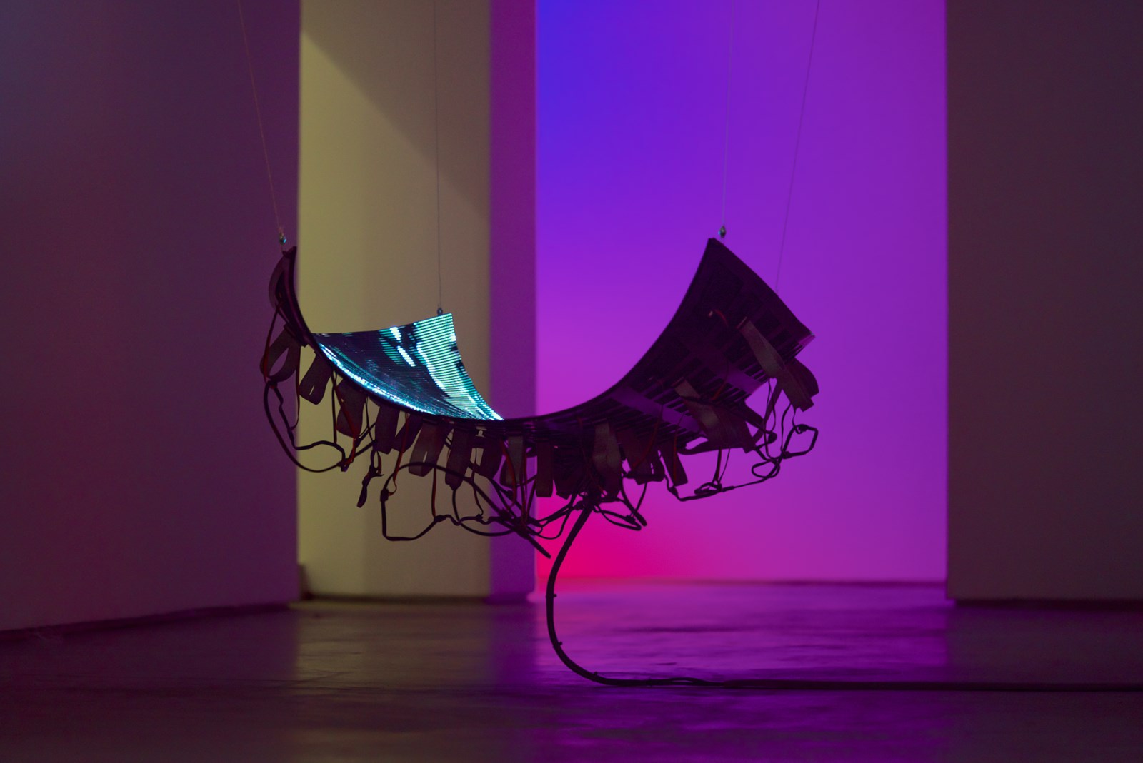 Crédito foto: Jorge Mirón