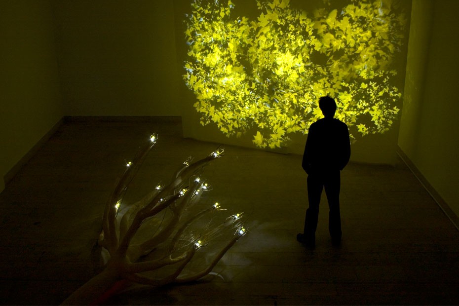 Photosynthetic Rememberance 2